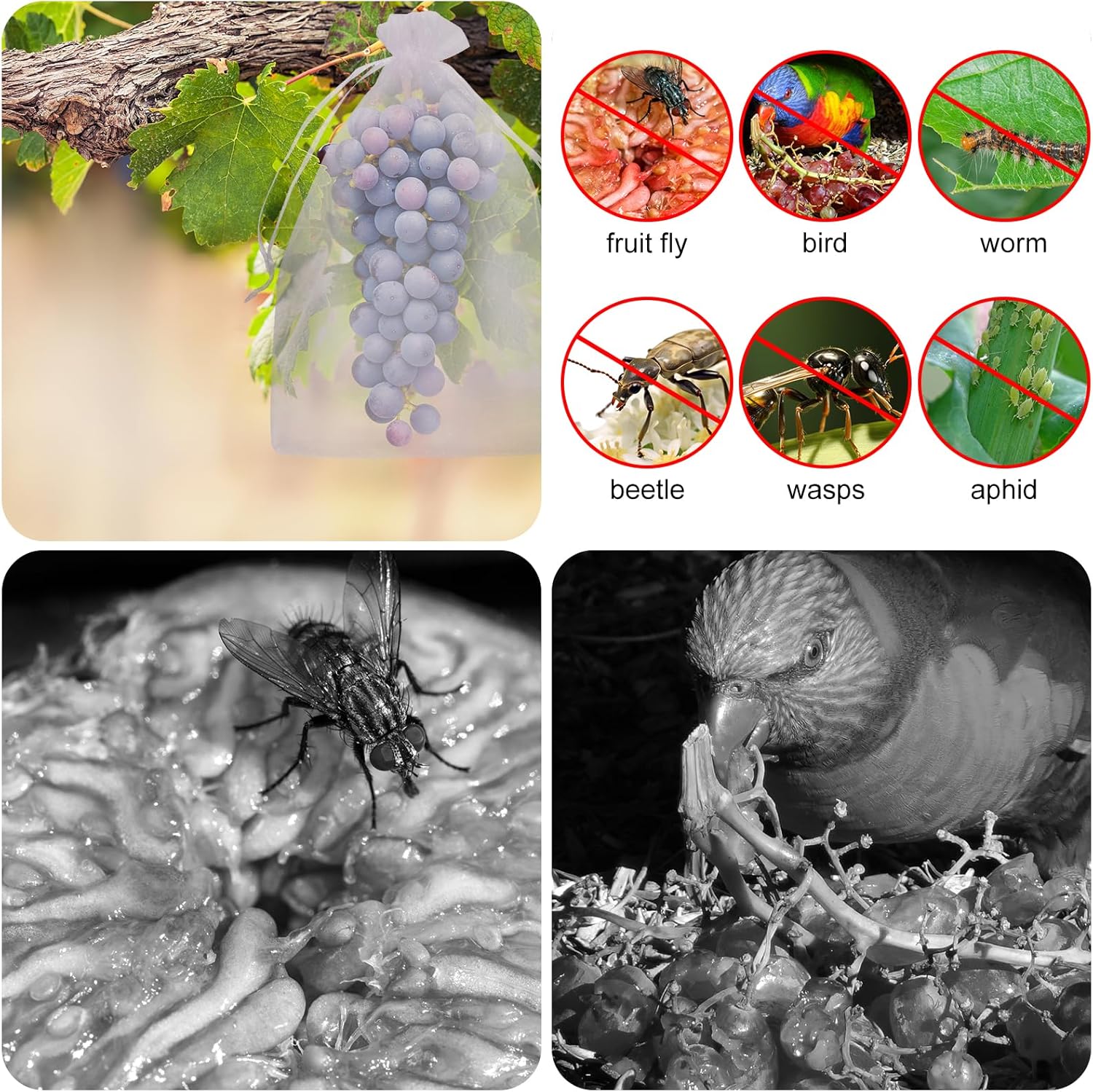Buy 1 Get 1 Free🔥Protective Mesh Cover for Fruit Trees