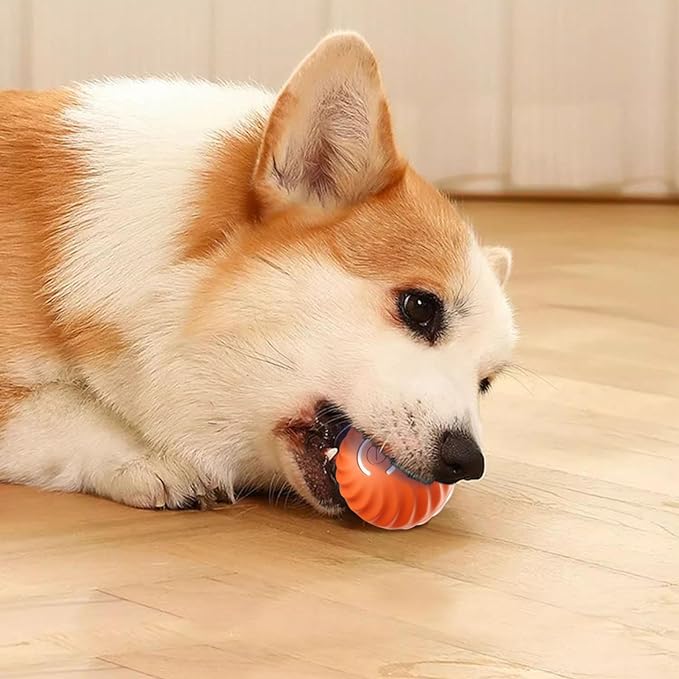 Smart Pet Bounce Interactive Ball🐶