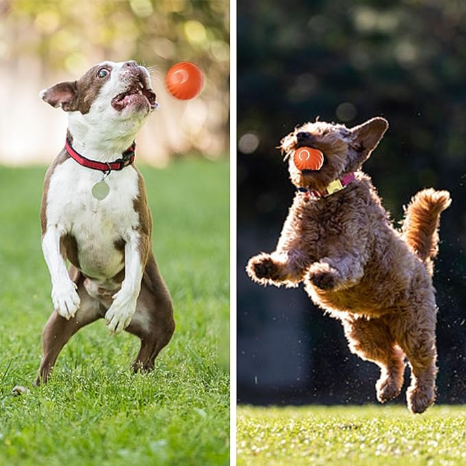 Smart Pet Bounce Interactive Ball🐶