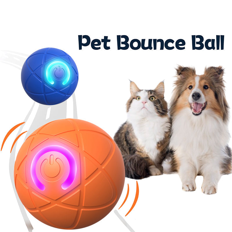 Smart Pet Bounce Interactive Ball🐶