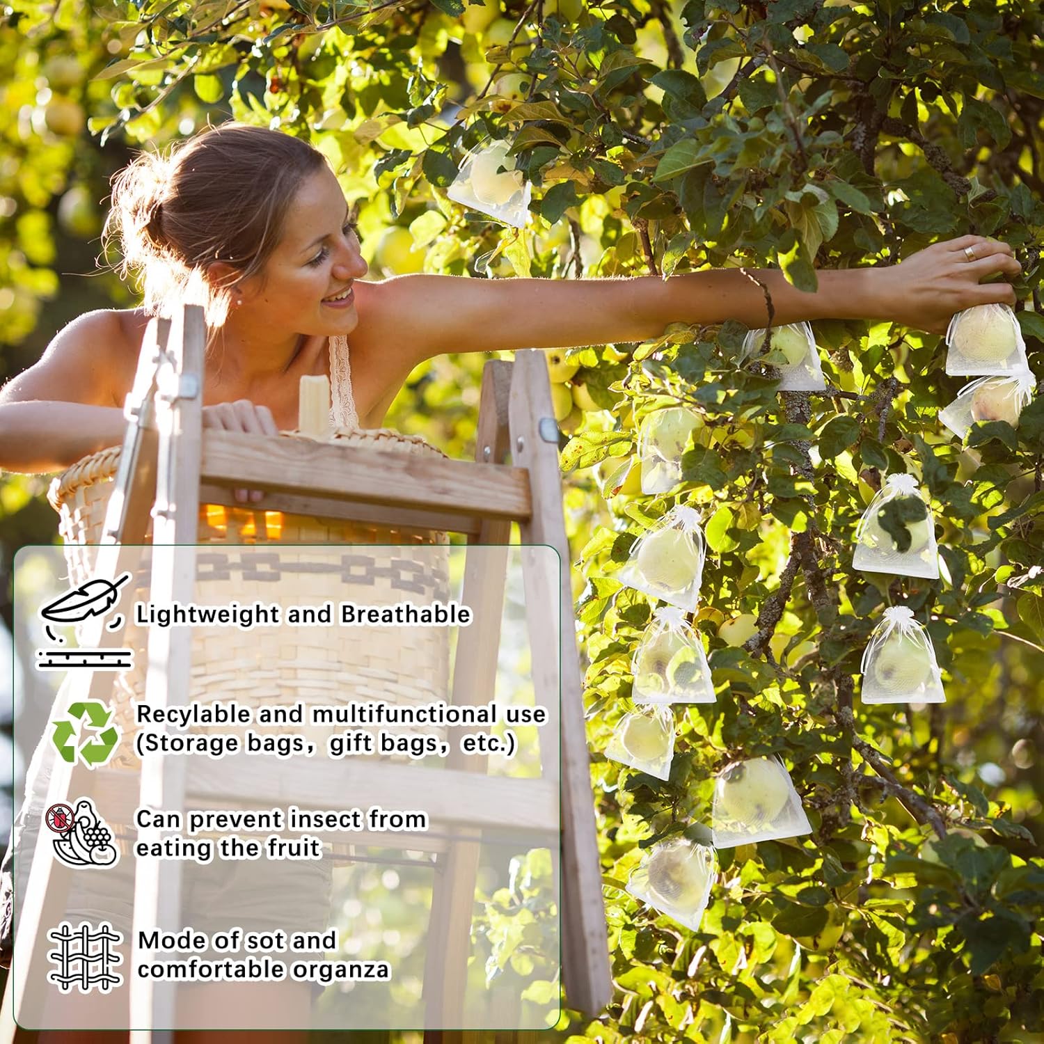 Buy 1 Get 1 Free🔥Protective Mesh Cover for Fruit Trees