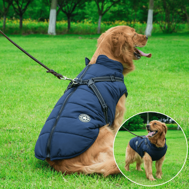 🐶3 in 1 Winter Waterproof Warm Dog Jacket With Built-in Harness