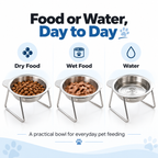 🥣 15° Tilted Orthopaedic Feeding Bowl