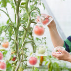 Buy 1 Get 1 Free🔥Protective Mesh Cover for Fruit Trees