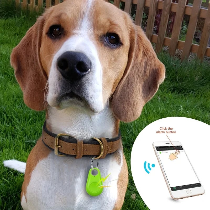 🔥 Anti-Lost Bluetooth Tracker for Keys & Pets