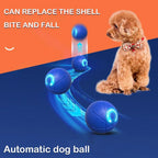 Smart Pet Bounce Interactive Ball🐶