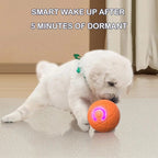 Smart Pet Bounce Interactive Ball🐶