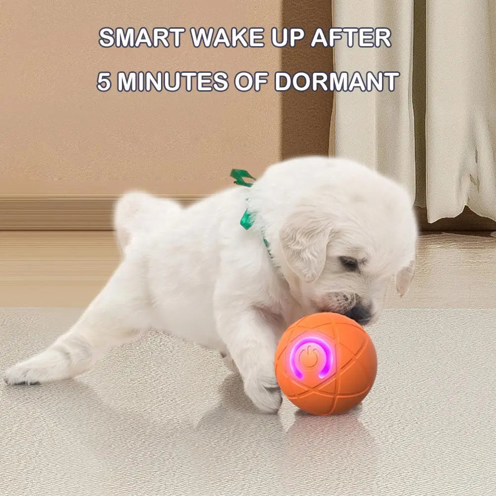 Smart Pet Bounce Interactive Ball🐶