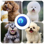 Smart Pet Bounce Interactive Ball🐶