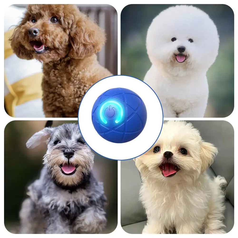 Smart Pet Bounce Interactive Ball🐶