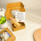 🎁Handmade Mini Plush Teddy Bear in Box🧸