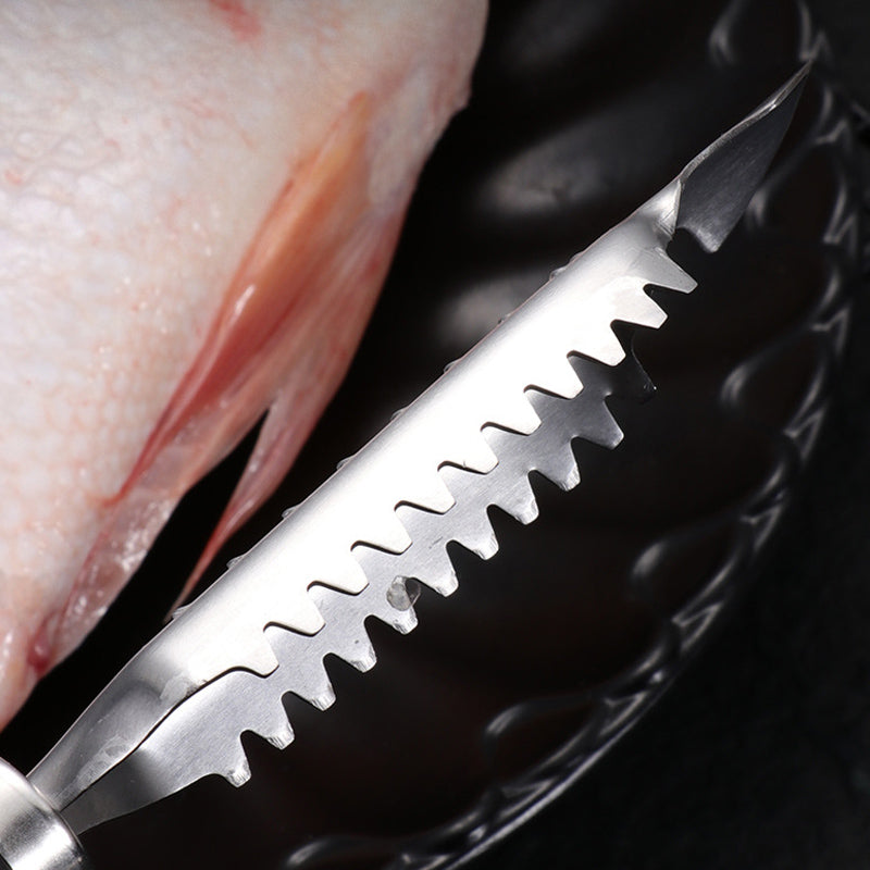 🔥Stainless Steel Fish Scaler Remover
