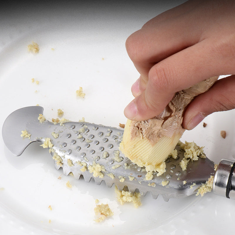 🔥Stainless Steel Fish Scaler Remover