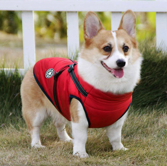 🎁Last Day 49% Off🔥Winter Warm Pet Dog Waterproof Jacket With Harness🐕