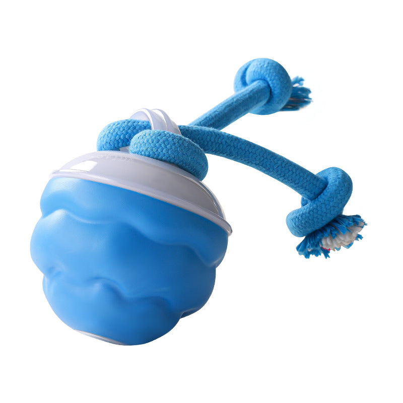 🎄Interactive Electronic Pet Soothing Toy Ball