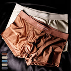 🔥BUY 1 GET 2 Free🔥Men's Satin Ice Silk Briefs