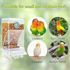 No Mess Automatic Bird Feeder