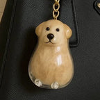 Dog Hair Collector Keychain