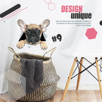🔥Hot Sale 50% OFF🔥3D D tachable Wall Stickers of Cats