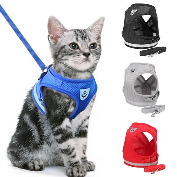 Adjustable Breathable And Light-up Harness and Leash Set for Pets
