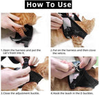 Adjustable Breathable And Light-up Harness and Leash Set for Pets