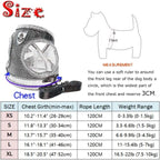Adjustable Breathable And Light-up Harness and Leash Set for Pets