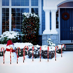 Christmas Outdoor Solar Candy Cane Lights