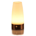 Wireless Motion Sensor LED Table Lamp