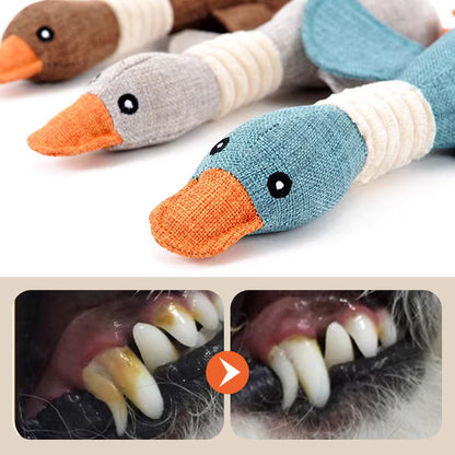 Animal Sounding Plush Chew Toy