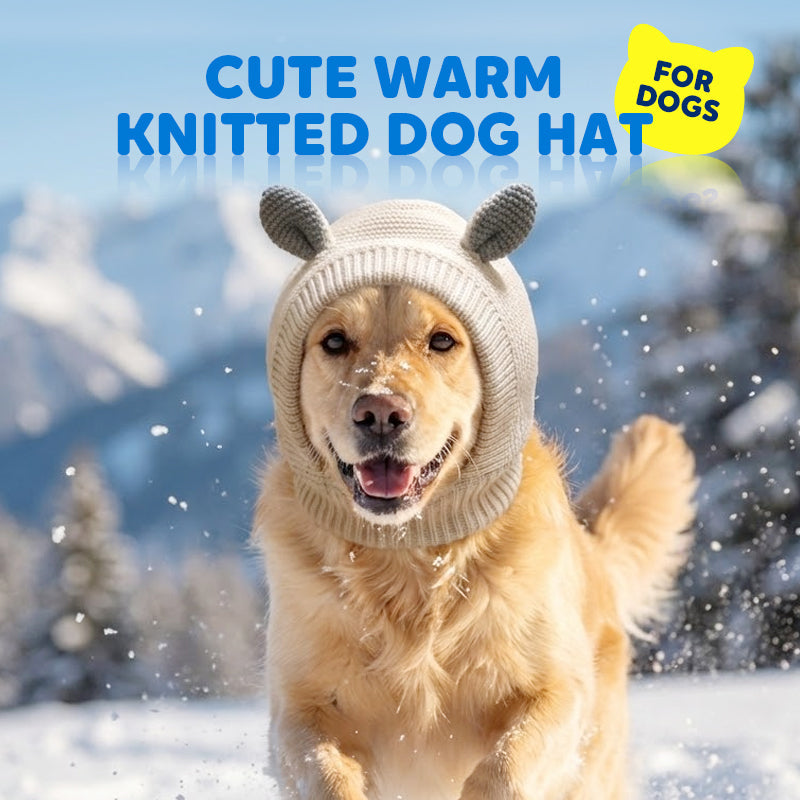 Cute Warm Knitted Dog Hat