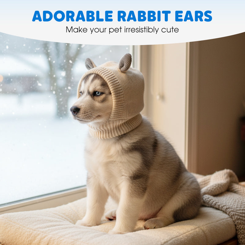 Cute Warm Knitted Dog Hat