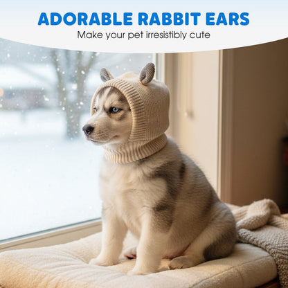 Cute Warm Knitted Dog Hat