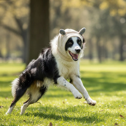 Cute Warm Knitted Dog Hat