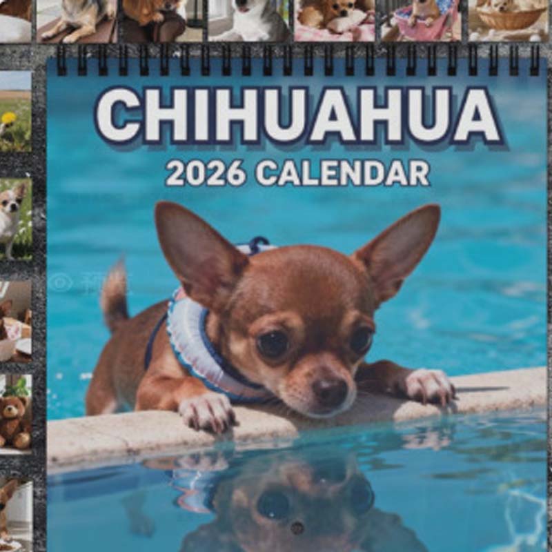 Funny Animal Calendar 2026 Calendar