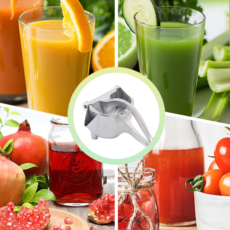 Manual Juice Extractor