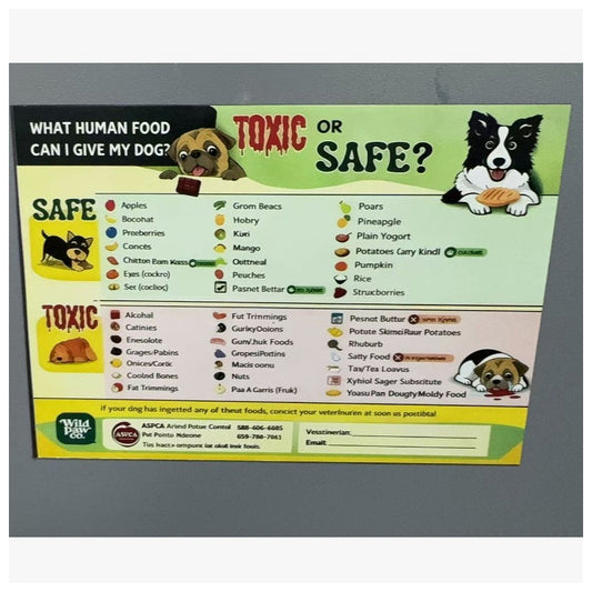 Cat Food Safety Guide Magnet