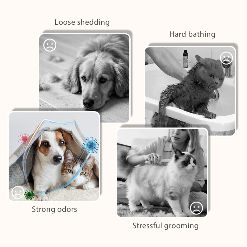 Pet Grooming Glove Wipes for Dogs & Cats - 6PCS/Pack