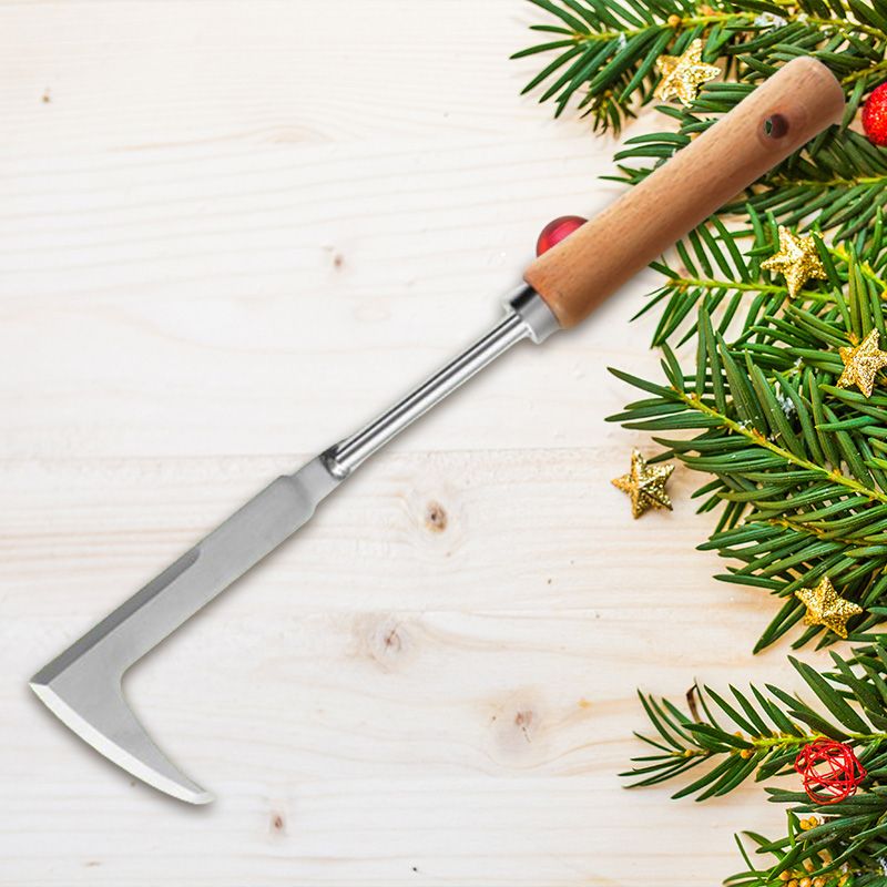 💐 Stainless Steel Weeding Tool – Durable & Precise for Tight Crevices 🔧✨【Special Offer】