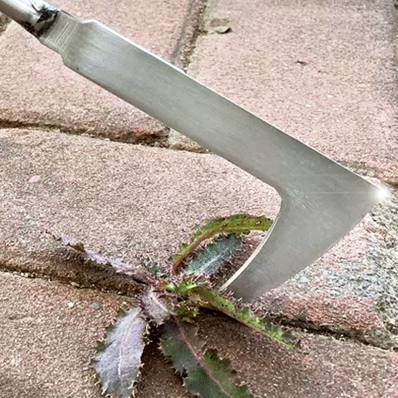 💐 Stainless Steel Weeding Tool – Durable & Precise for Tight Crevices 🔧✨【Special Offer】