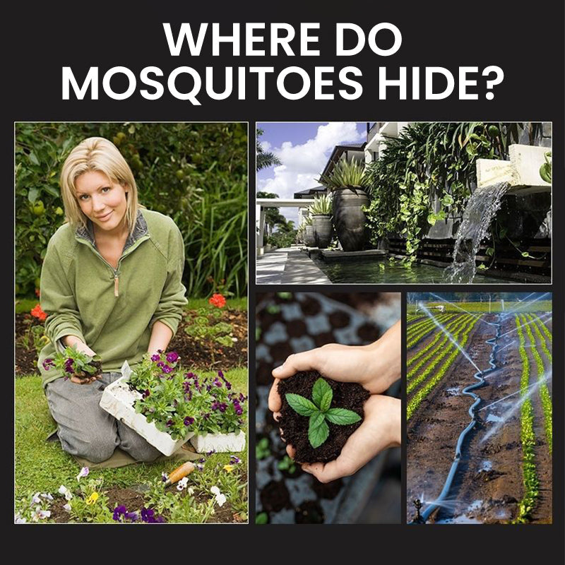 🚫🦟Solar Mosquito Zapper Lamp Stake