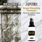 Stone Monument Cleaner & Renovator Spray