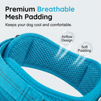 🐶 Easy On-Off Padded Dog Harness for Walking