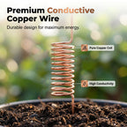 🔥Limited-time offer-Copper Spiral Antenna Plant Stakes