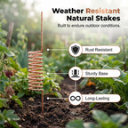 🔥Limited-time offer-Copper Spiral Antenna Plant Stakes