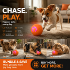 Smart Pet Bounce Interactive Ball🐶