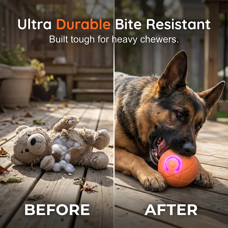 Smart Pet Bounce Interactive Ball🐶